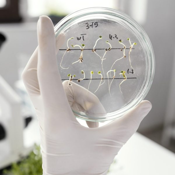 close-up-hand-holding-petri-dish